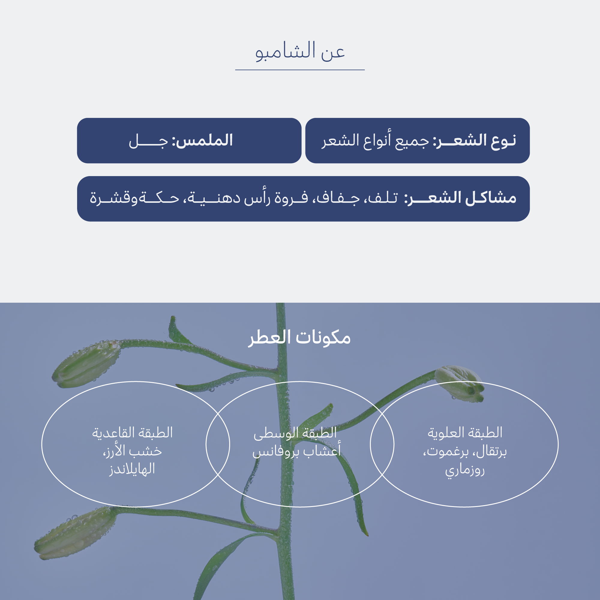 الشامبو الكوري الازرق ميدنايت كولاجين شامبو ضد تساقط الشعر 