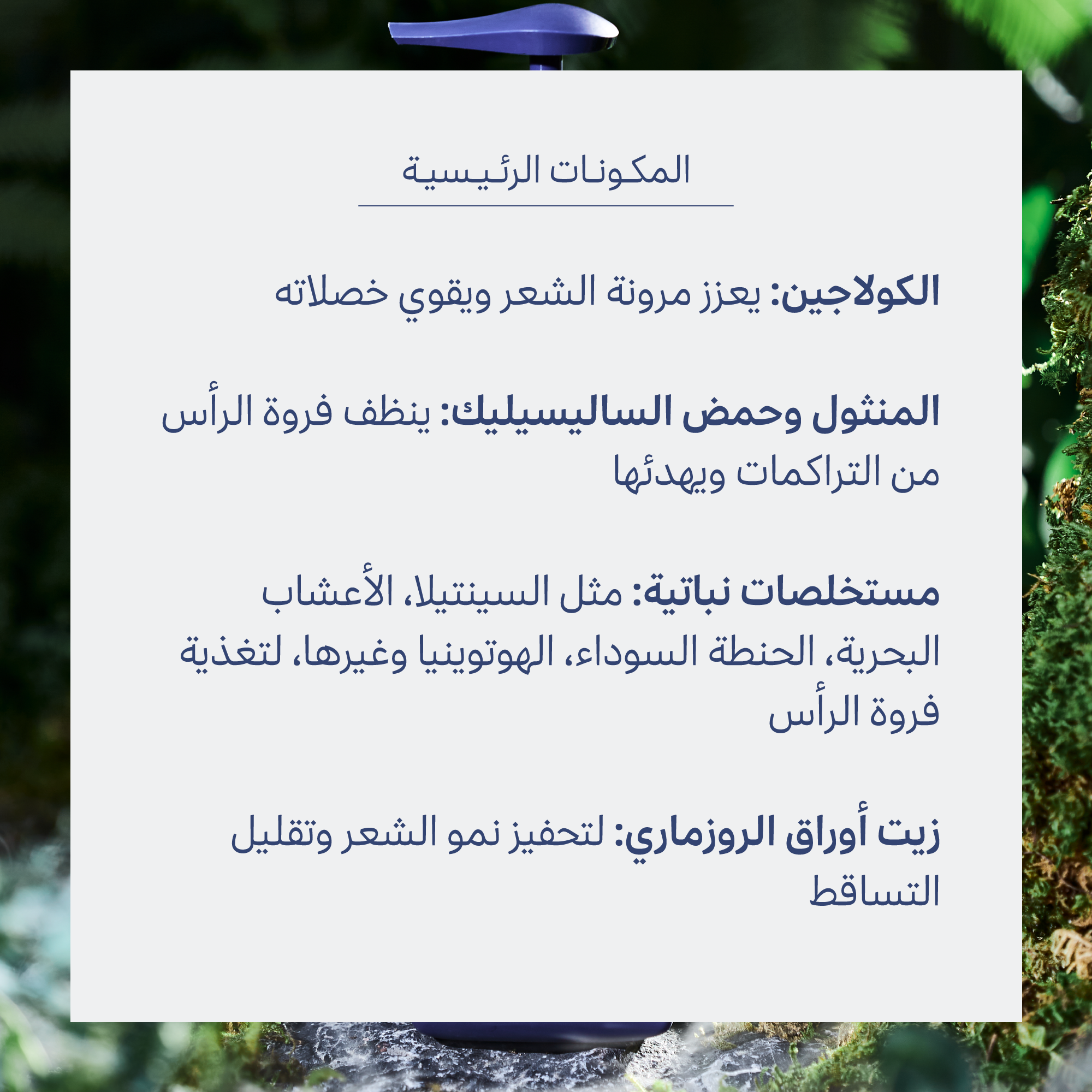 الشامبو الكوري الازرق ميدنايت كولاجين شامبو ضد تساقط الشعر 