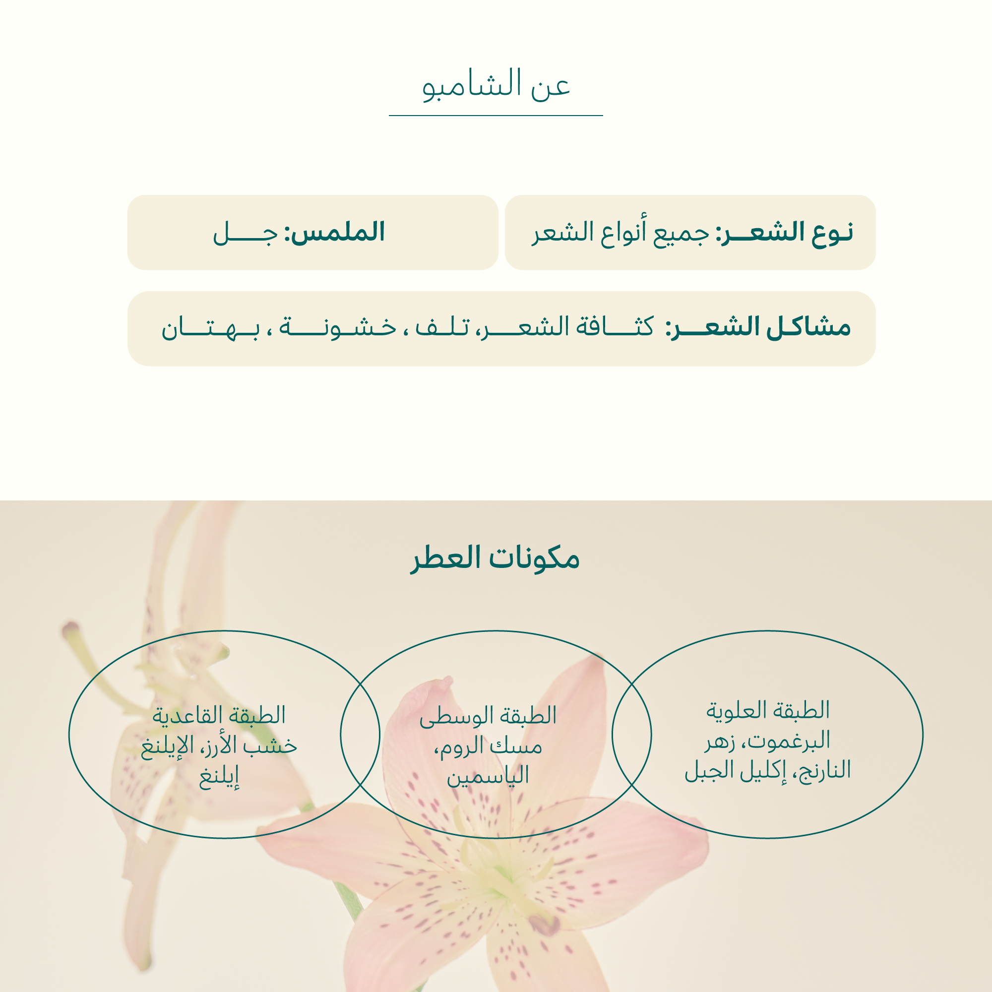 شامبو الكولاجين الصباحي شامبو تكثيف الشعر 